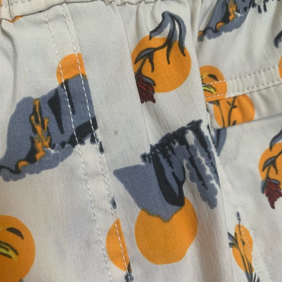 The North Face Mens Shorts Size XL Printed Casual Summer Beach Vacation - Picture 8 of 16